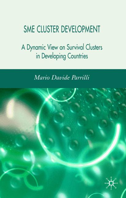 SME Cluster Development : A Dynamic View of Survival Clusters in Developing Countries