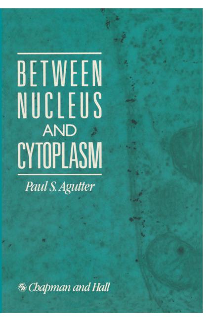 Between Nucleus And…