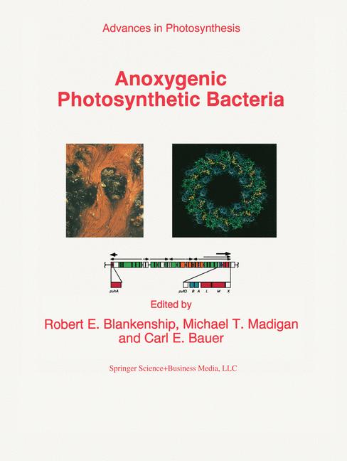 Anoxygenic Photosyn…