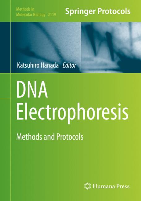 Dna Electrophoresis