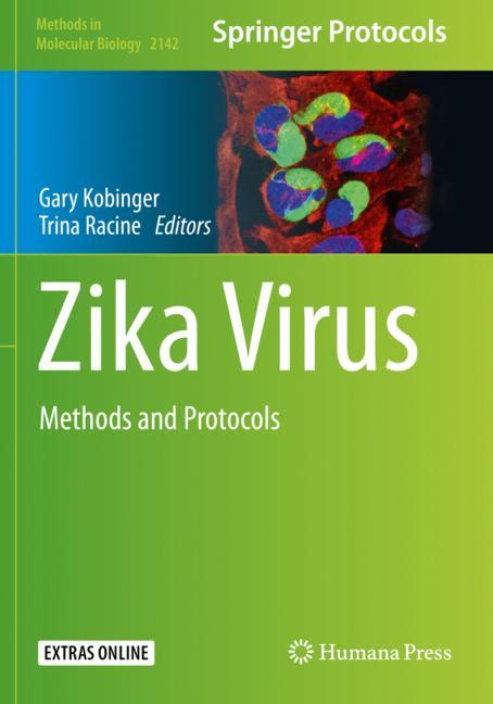 Zika Virus - image