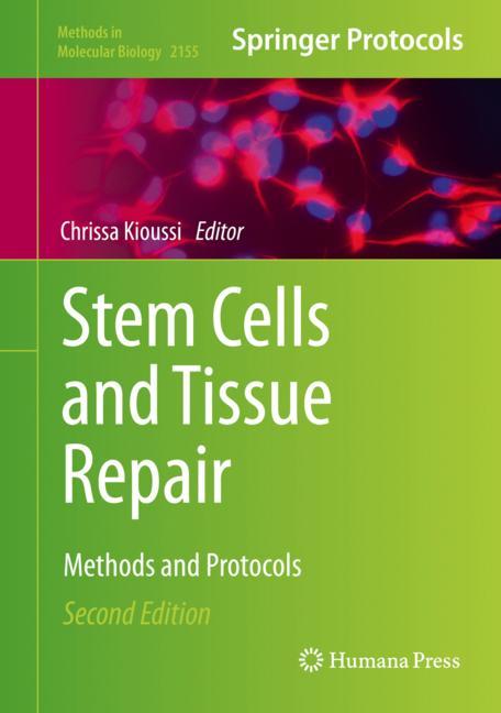 Stem Cells And Tiss…