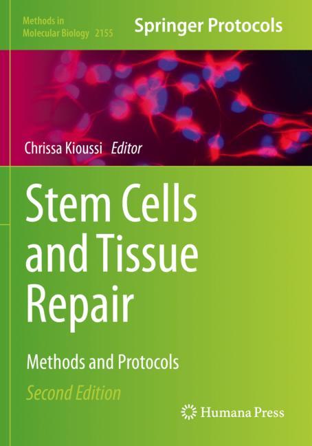 Stem Cells And Tiss…