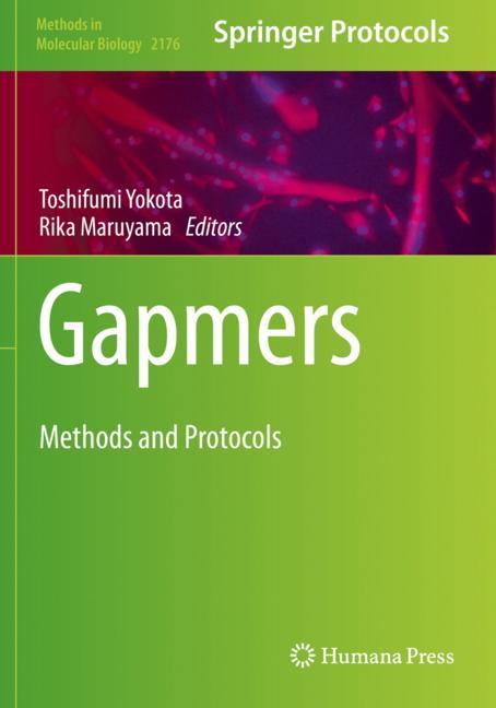 Gapmers