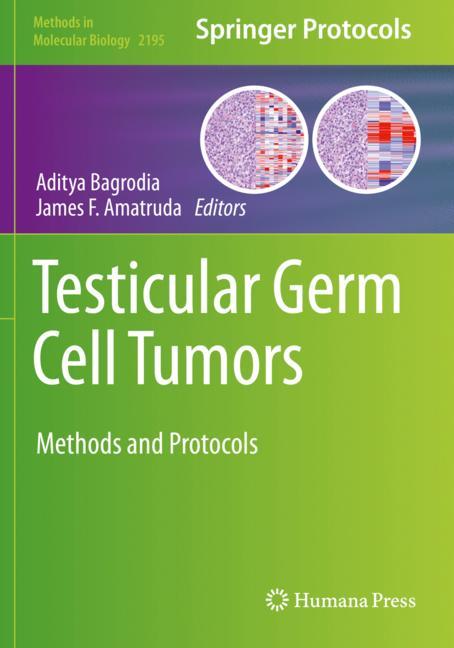 Testicular Germ Cel… - image