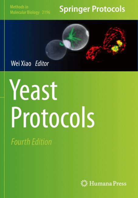 Yeast Protocols - image