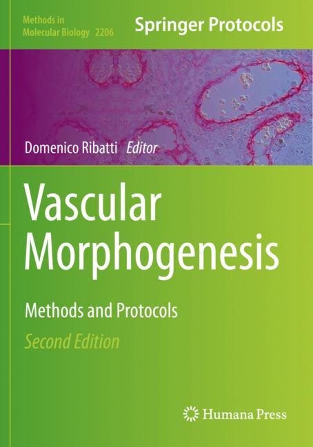 Vascular Morphogene…