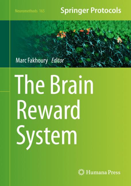 The Brain Reward Sy…