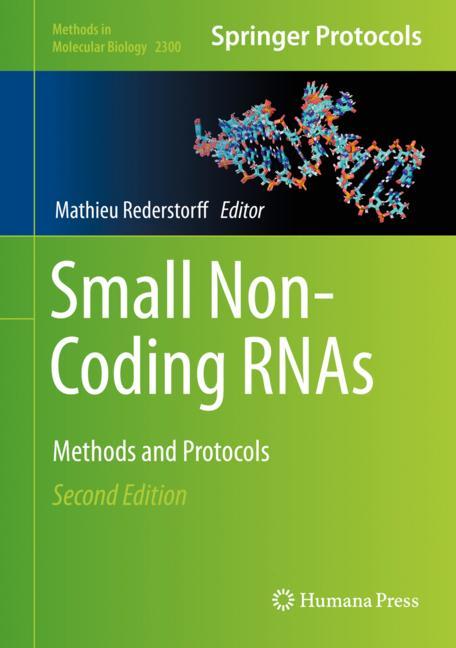 Small Non-Coding Rn… - image