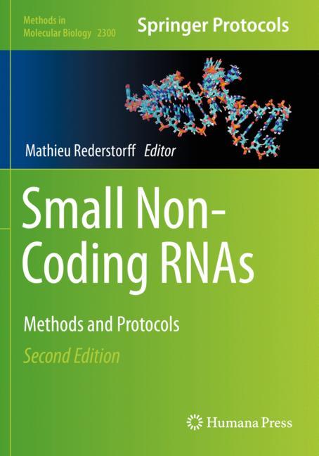Small Non-Coding Rn… - image