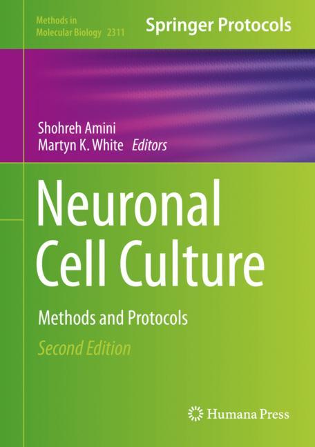 Neuronal Cell Cultu… - image