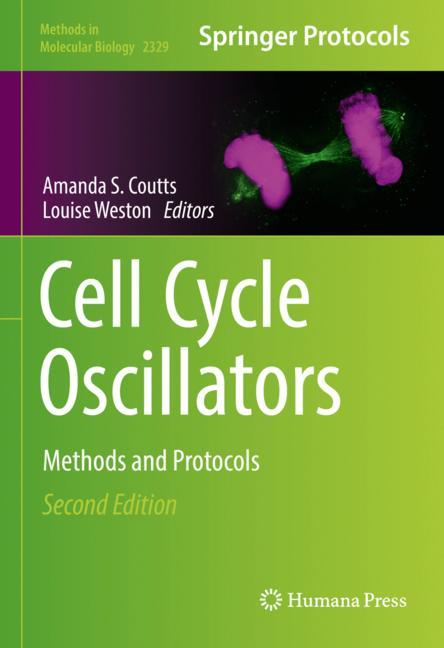 Cell Cycle Oscillat… - image