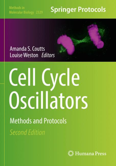 Cell Cycle Oscillat… - image