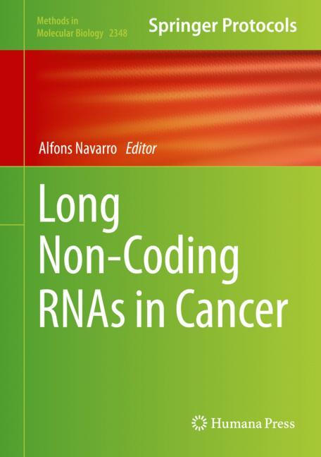 Long Non-Coding Rna… - image