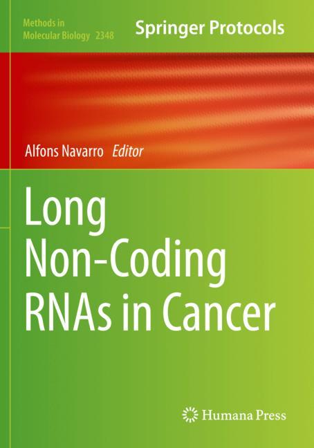 Long Non-Coding Rna… - image