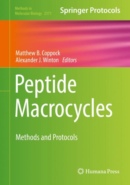 Peptide Macrocycles - image