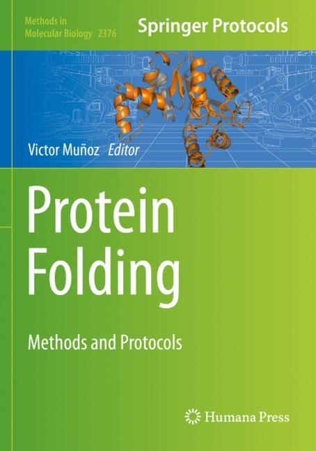 Protein Folding - image