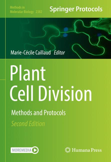 Plant Cell Division - image