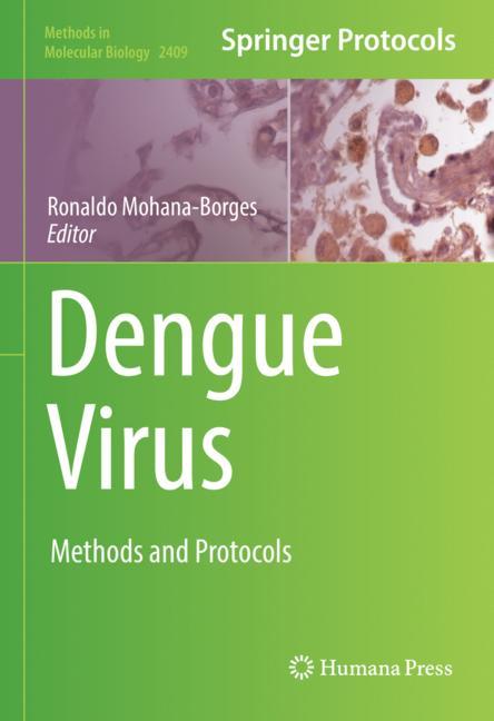 Dengue Virus - image