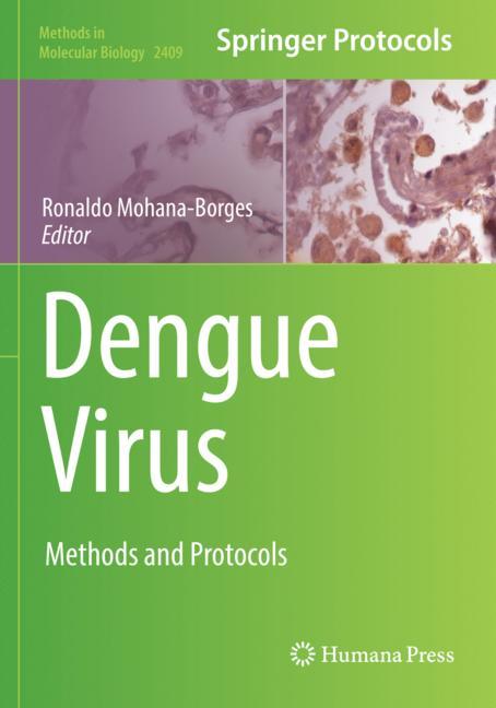Dengue Virus - image