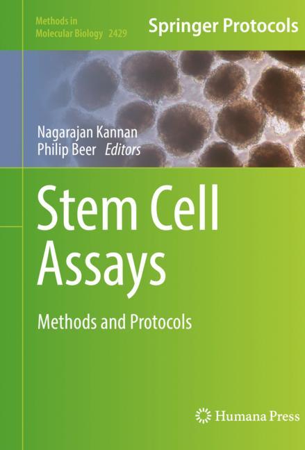 Stem Cell Assays - image