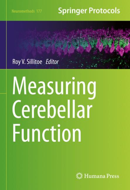 Measuring Cerebella… - image