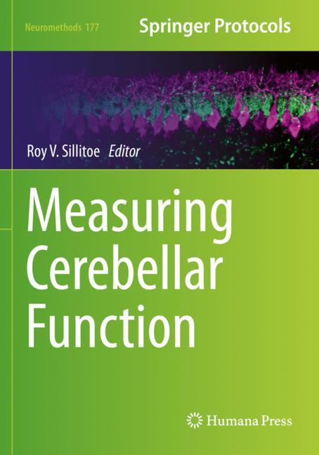 Measuring Cerebella… - image