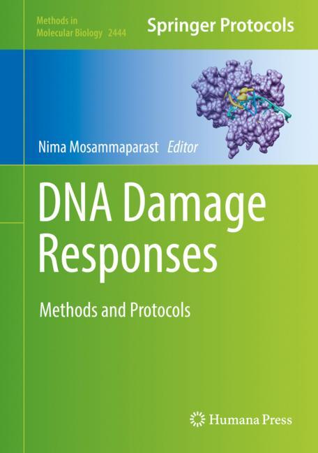 Dna Damage Responses