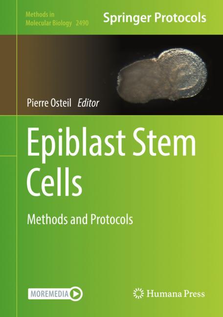 Epiblast Stem Cells