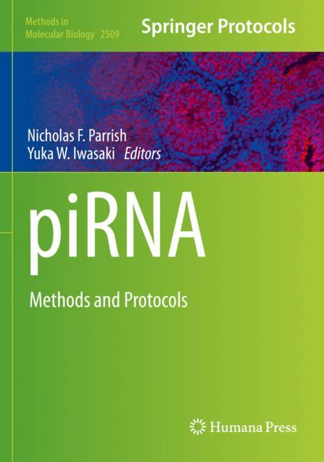 Springer Us PiRNA