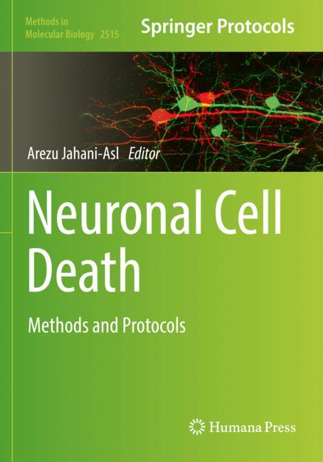 Neuronal Cell Death - image