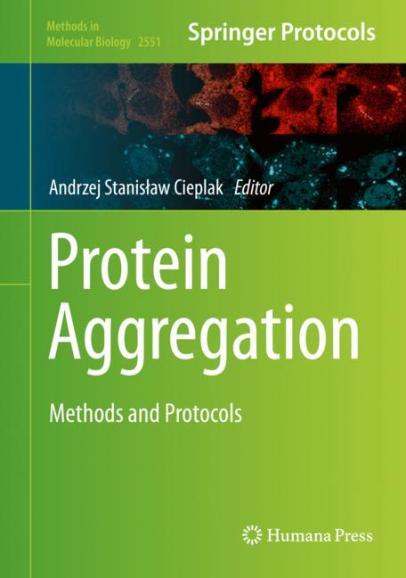 Protein Aggregation - image