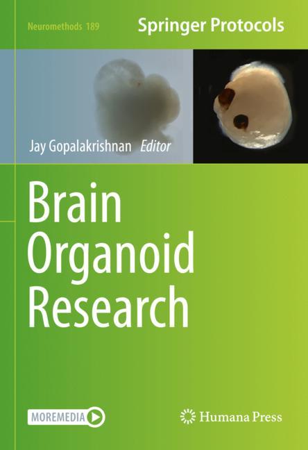 Brain Organoid Rese…