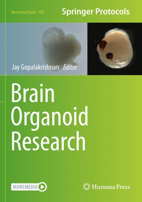Brain Organoid Rese…