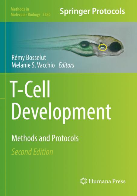 T-Cell Development - image
