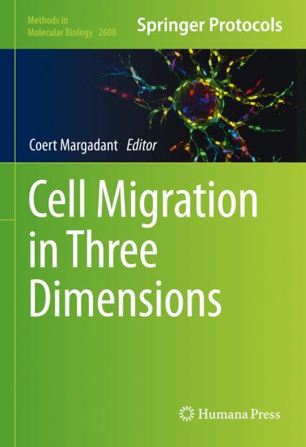 Cell Migration In T…