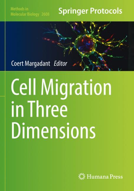 Cell Migration In T…