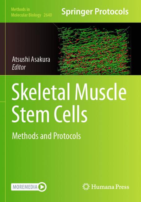Skeletal Muscle Ste…