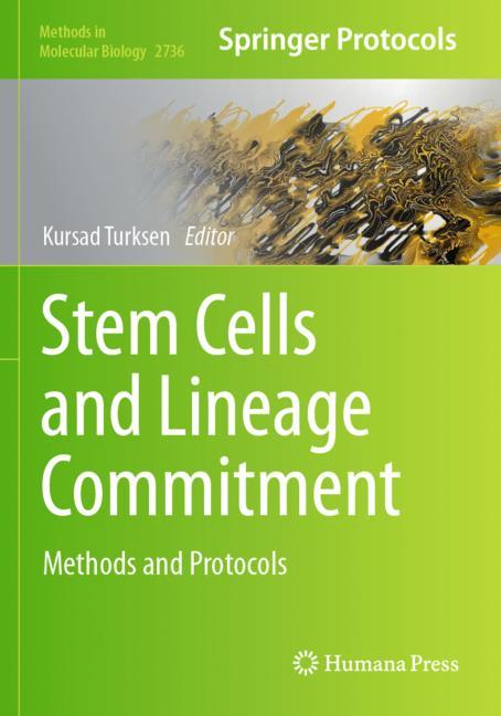 Stem Cells And Line…