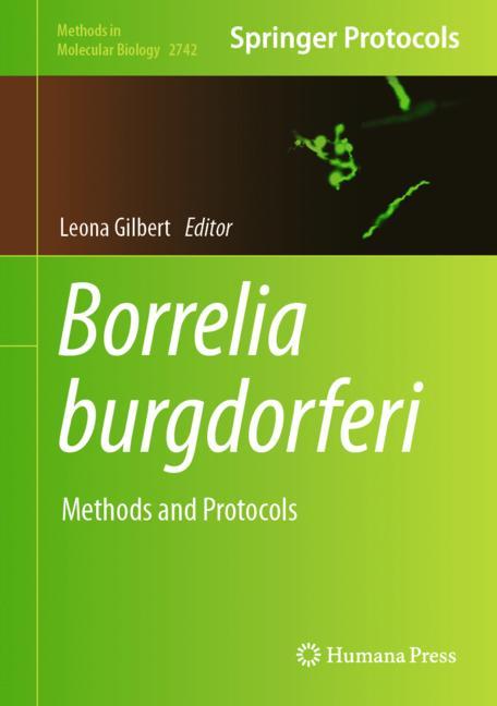 Borrelia Burgdorferi