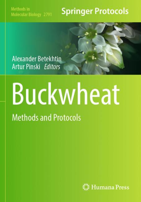 Buckwheat
