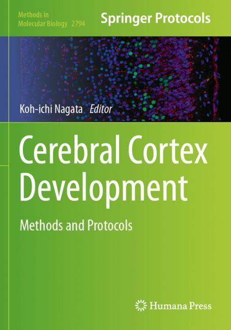 Cerebral Cortex Dev…