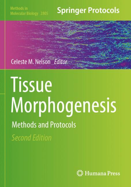 Tissue Morphogenesis