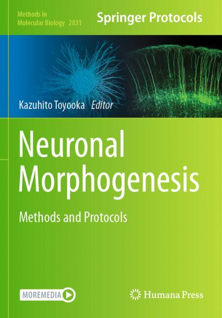 Neuronal Morphogenesis