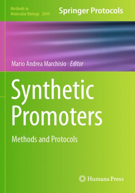 Synthetic Promoters