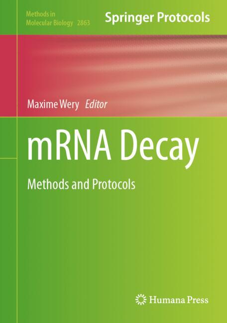 Mrna Decay - image