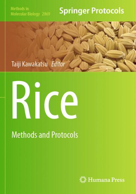 Rice