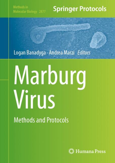 Marburg Virus - image