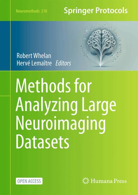 Methods For Analyzing Large Neuroimaging Datasets