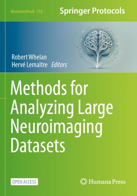 Methods For Analyzing Large Neuroimaging Datasets